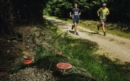 ČEZ Jizerská 50 přinesla skvělé finále seriálu Běhej lesy. Na start všech závodů bylo letos přihlášeno 1843 běžců, na ultramaratonské trati na 50 kilometrů s převýšením tisíc metrů kraloval Přemysl Ježek